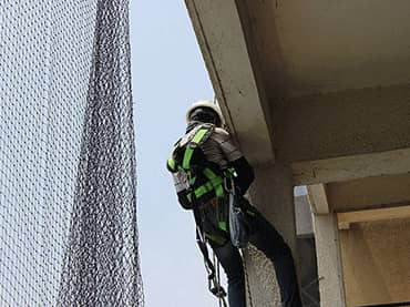 Pigeon Netting Services in Pune