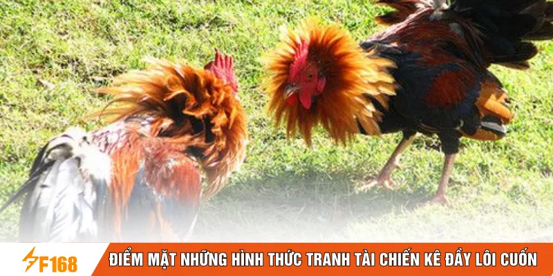 Điểm mặt những hình thức tranh tài chiến kê đầy lôi cuốn Điểm mặt những hình thức tranh tài chiến kê đầy lôi cuốn