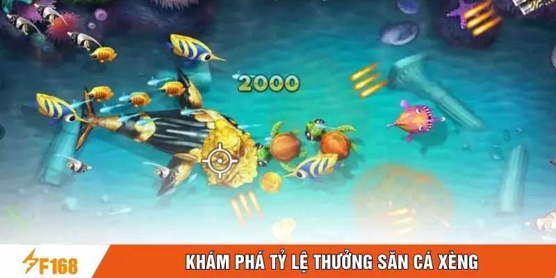 Khám phá tỷ lệ thưởng săn cá xèng Khám phá tỷ lệ thưởng săn cá xèng